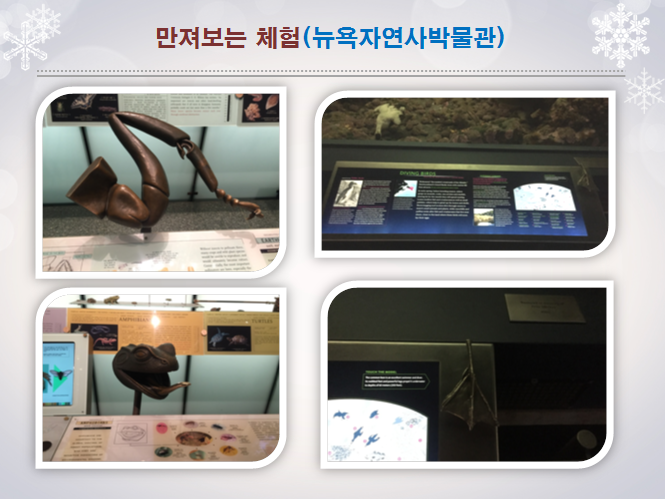 141fa2e0f198a59b95dc6ea56cc7b792.png