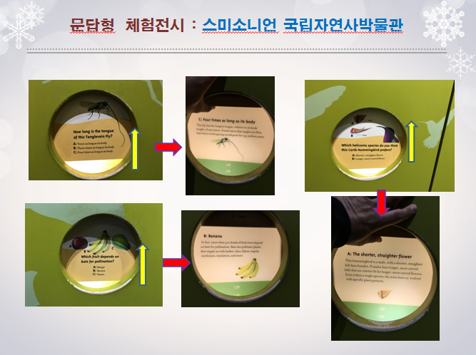 4498ef3f510901da07b481873374b907.png